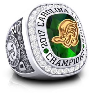 2017 Carolina Minor Leagues